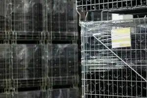 Stockage - Thierry Bergeon Embouteillage